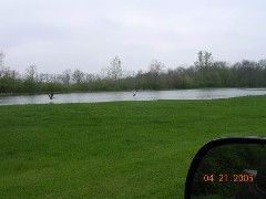 the pond on the Kish farm where Mom (Julia (Judy) Kish Dorrough) grew up in Trotwood Ohio